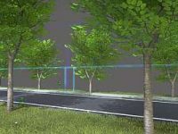 3D-Modell: Beschnittene Linden für Fahrbahn, beidseitigem Rad- und Gehweg